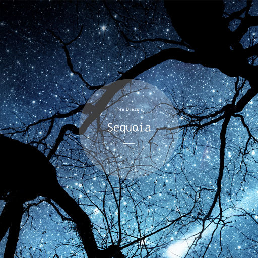 丁字裤柔术表演视频
